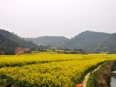 -新安江山水画廊风景区