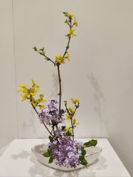 -今日陶艺(富力广场店)