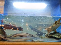 -围龙屋客家食府(福田店)