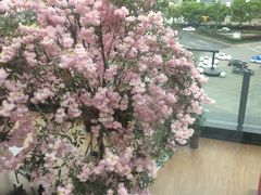 -丝恋丝娃娃(逸天城国贸店)