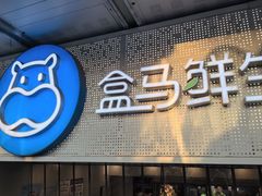 -盒马鲜生(双清路店)