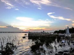 -宝安西湾红树林湿地公园