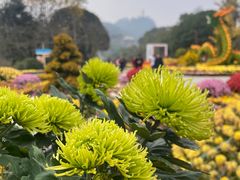 -南山植物园
