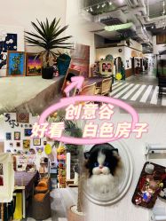 -好看加白色房子