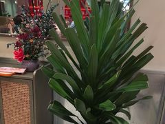 -杨氏青龙虾·羊蝎子(珠江路店)
