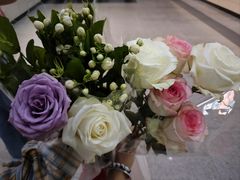 -循礼门鲜花花市(武汉循礼门店)