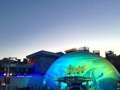 -海合安青岛极地海洋公园