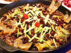 -老板恋上鱼(高新万达店)