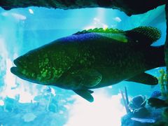 -沈阳海洋探索中心