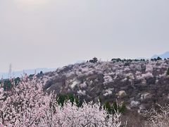 -白水寺森林公园