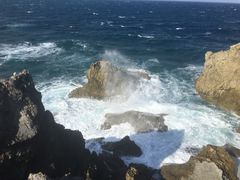 -龙坑生态保护区