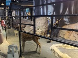 -酷嗒动物文化乐园(cutezoo西溪乐天城店)