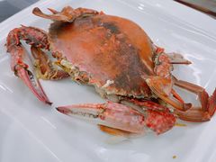 -望海潮海鲜店 特色家常菜(在海一方店)