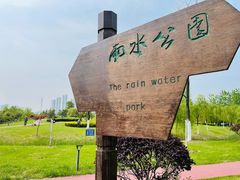-合肥滨湖国家森林公园