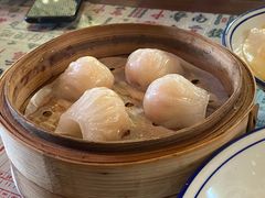 -憶廟街 X 沙角邨(太古城店)