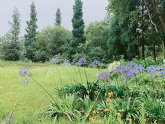 -重庆雨台山风景区