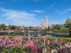 -上海迪士尼度假区