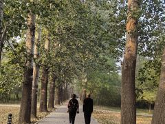 -廊坊市自然公园