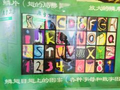 -上海昆虫博物馆