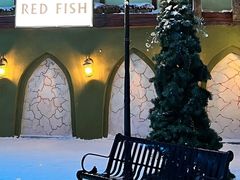 -世界之窗阿尔卑斯冰雪世界