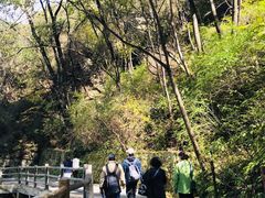 -少华山国家森林公园