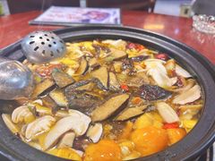 -菌之家·专业纯野生菌火锅·特色炒菌