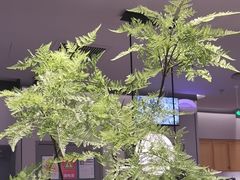 -绿茶餐厅(滨海万达广场店)