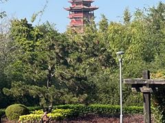 -厦门园林博览苑