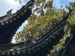 -天一阁博物院