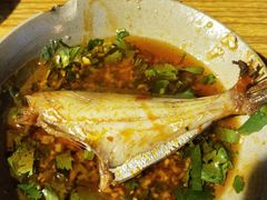 精品耗儿鱼-刁姐火锅(五小区店)