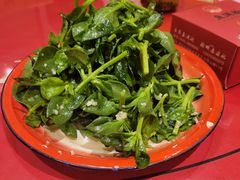 -鱼满舱.地标海鲜.正宗鲁菜(金沙滩店)