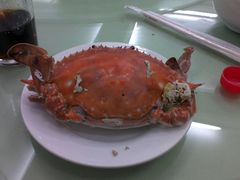 -南戴河旅游度假区