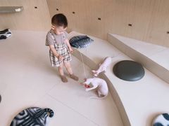 -飞行喵MR PILOT|猫舍·猫咖(静安大融城店)