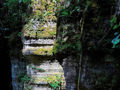 -梭布垭石林景区