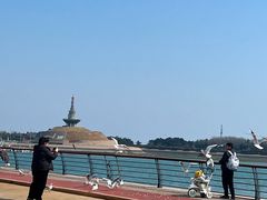 -日照灯塔风景区