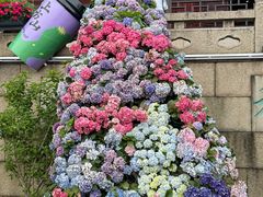 -苏州上方山国家森林公园