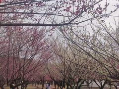 -喻家山