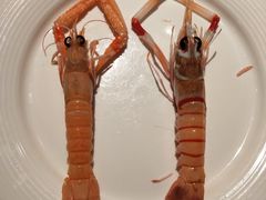 -Mr·Fish鱼鲜生海鲜放题(银泰in99店)