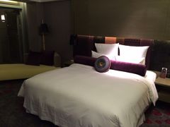 -南京禄口机场雅高铂尔曼大酒店