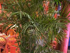 -野山舂·贵州现舂酸汤火锅(鸿通城店)