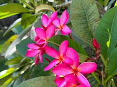 -肯德基(开源大道店)