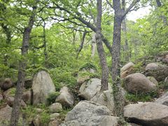 -青岛崂山太清宫
