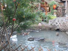 -青城甲(青城山店)