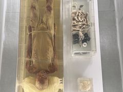-荆州博物馆