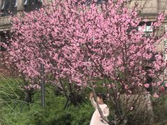 -长沙市青少年宫