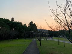 -上海佘山世茂艾美酒店