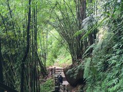 -赤水丹霞旅游区·大瀑布