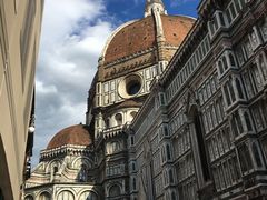 -圣母百花大教堂穹顶