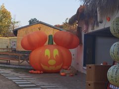 -HERRE·FARM 赫尔露营农场·团建聚会包场