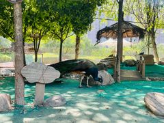 -陕西自然博物馆